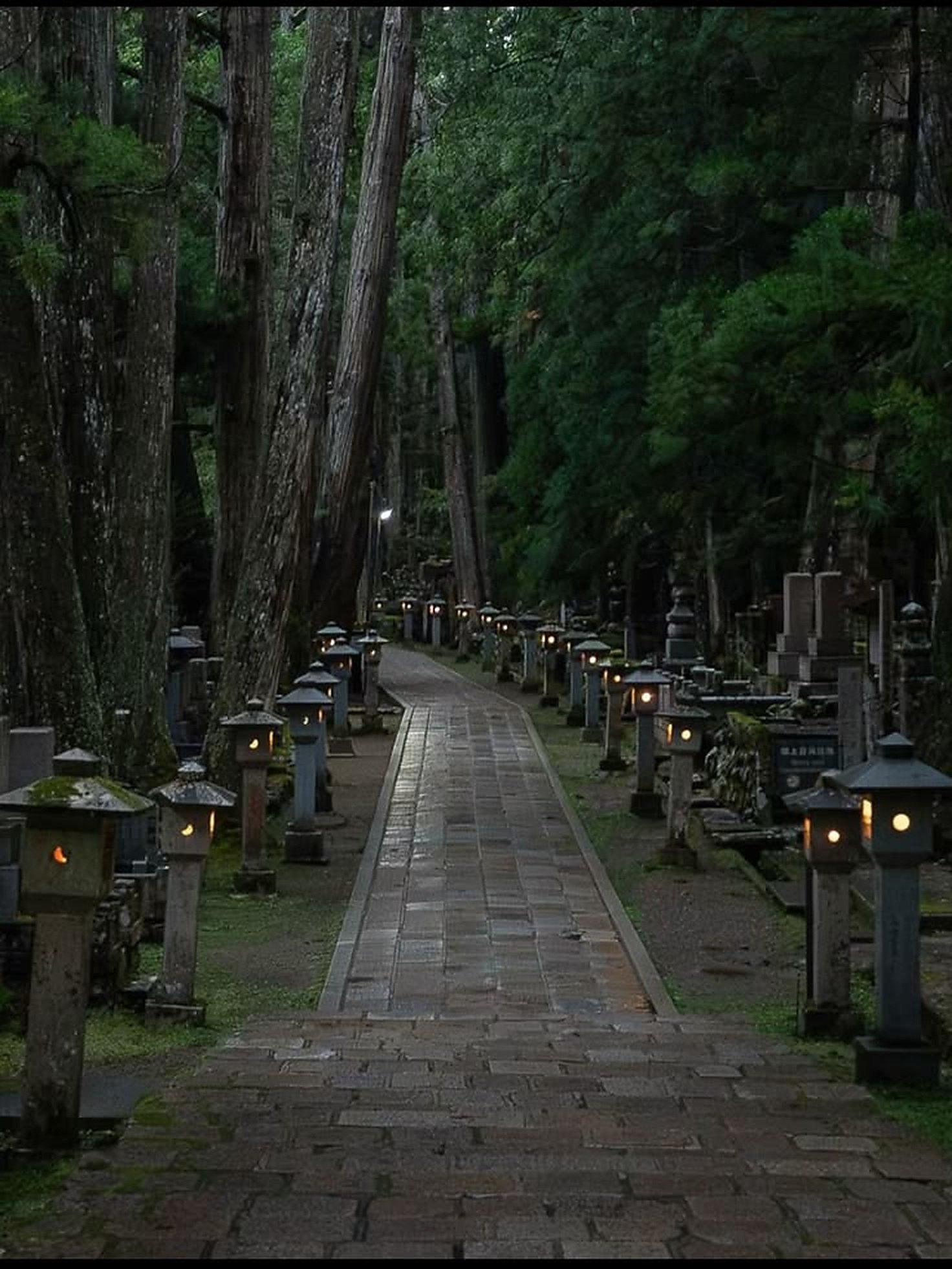 Mount Koya to Wakayama Coastal Pilgrimage Journey