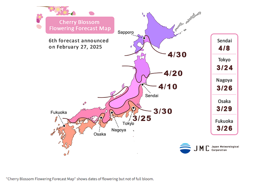 Sakura Bloom in Japan: The Ultimate Guide to Cherry Blossom Season